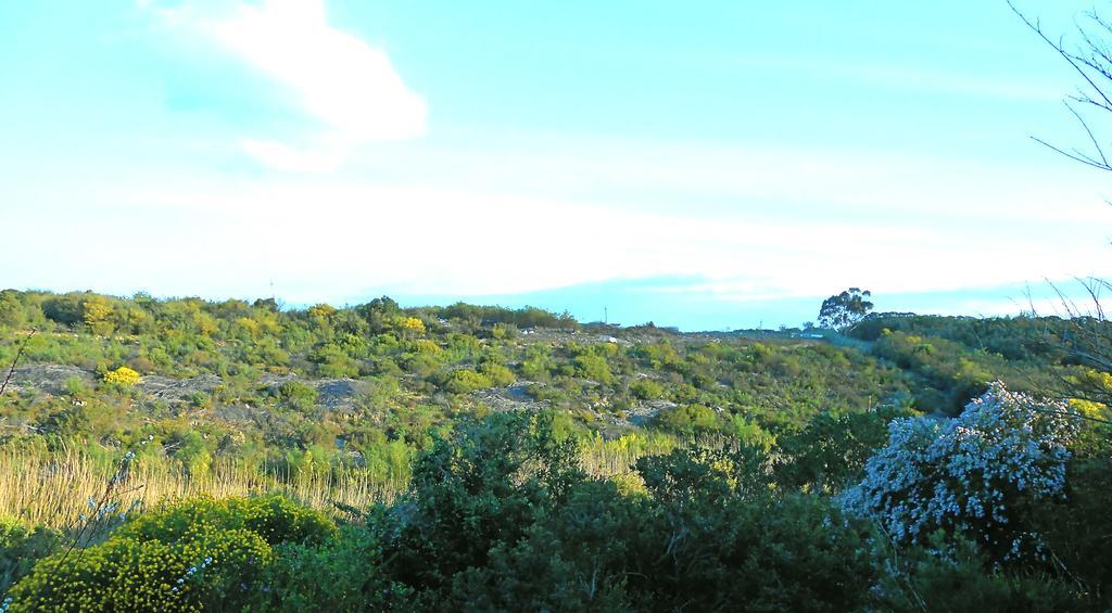 Onrus River Cottage Hermanus Exterior photo